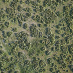 Vista cenital de los Toruños