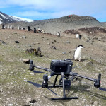 Collado Vapor, isla Decepción, Antártida